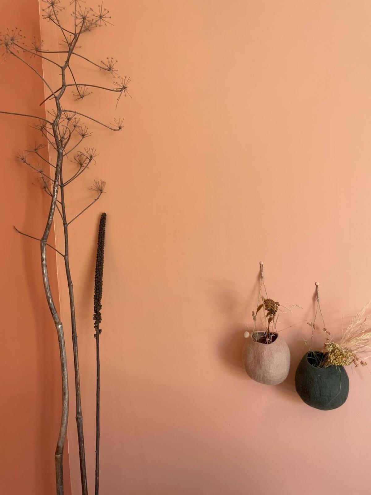 Les Petites Maisons ซอตตา ภายนอก รูปภาพ